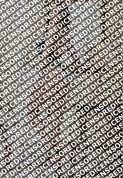 ROMINNA - Escort lady Ankara 3