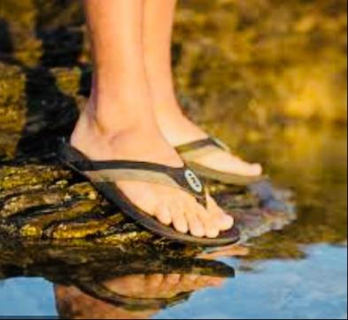 Aleboy - Escort gay Venice 2