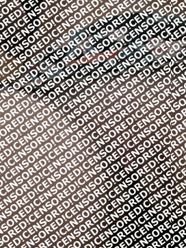 BrittBabe22 - Escort lady Chicago 4