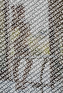 Jully - Escort lady Saint Petersburg 3