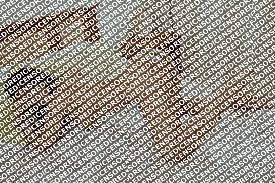 Djes - Escort lady Frankfurt 2