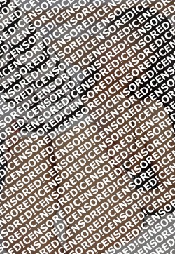 Ira - Escort lady Saint Petersburg 4