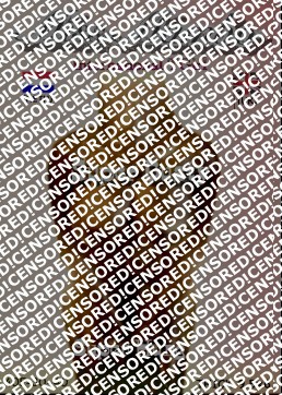 RS International - Escort trans San Diego CA 2