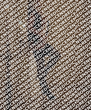 Laura Cavallo - Escort lady Bonn 6