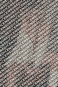 Elena - Escort lady Frankfurt 4