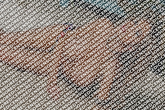 Chantall - Escort lady Amsterdam 2