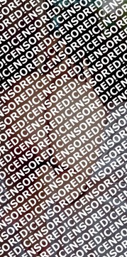 Lissa - Escort lady Las Vegas 4