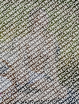 Larisa - Escort lady Saint Petersburg 5