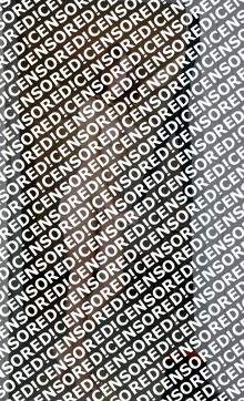 Diana - Escort lady Saint Petersburg 4