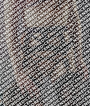 Vivien Fox - Escort dominatrix Berlin 5