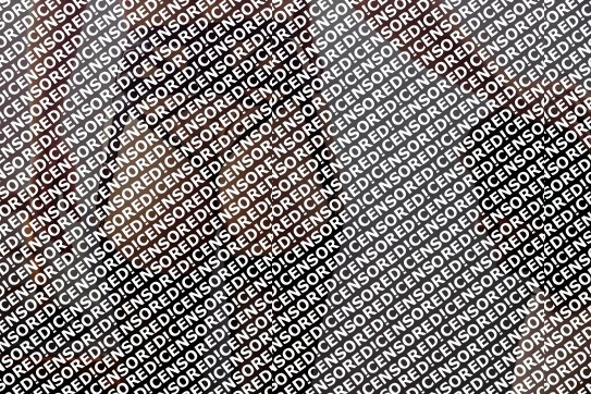 Vivien Fox - Escort dominatrix Berlin 8