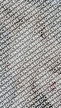 Sina - Escort lady Berlin 3