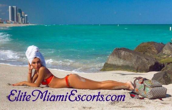 Karolina - Escort lady Miami FL 9