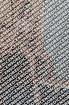 Anastasia - Escort lady Vienna 2