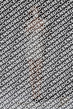 Karina - Escort lady New York City 3