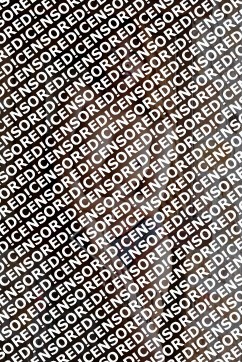 Alina - Escort lady Antwerp 4