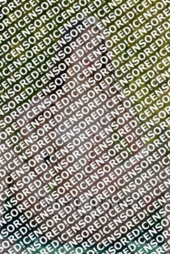 Lily - Escort lady Antwerp 3