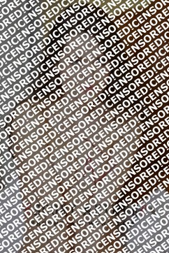 Sofia - Escort lady Antwerp 4