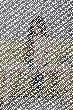 Sofia - Escort lady Antwerp 6