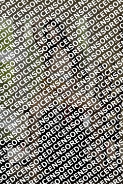 Victoria - Escort lady Antwerp 3