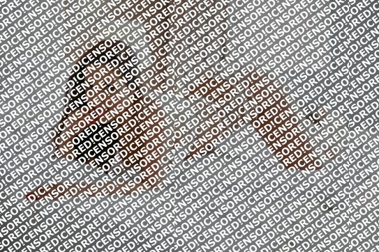 Abigail - Escort lady Amsterdam 3