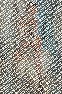 Noa - Escort lady Amsterdam 2