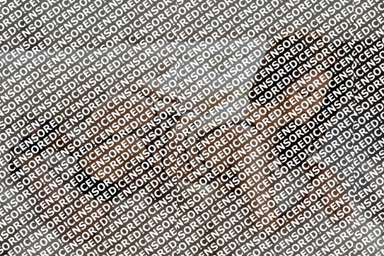 Sofia - Escort lady Amsterdam 2