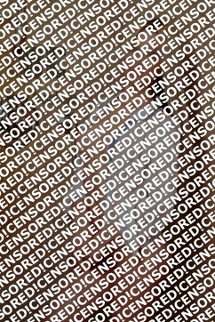 Sara - Escort lady Berlin 3