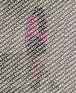 Lara - Escort lady Munich 3