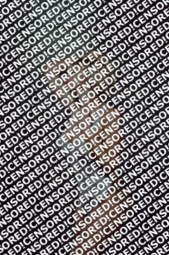 Bonnie PSE - Escort lady Munich 4