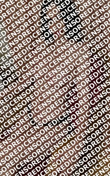 Erika - Escort lady Munich 2