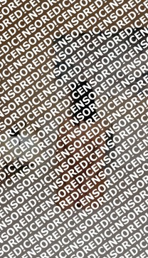 Alexandra - Escort lady Munich 3