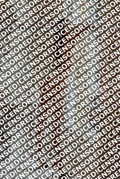 Amira - Escort lady Nuremberg 3