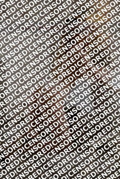 Amira - Escort lady Nuremberg 4