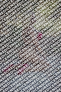 Erika - Escort lady Amsterdam 2