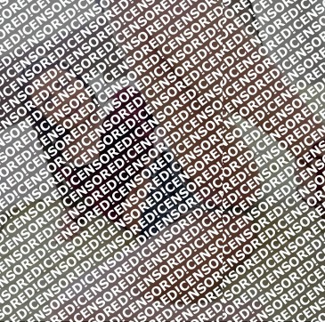 Angela - Escort lady Houston 4