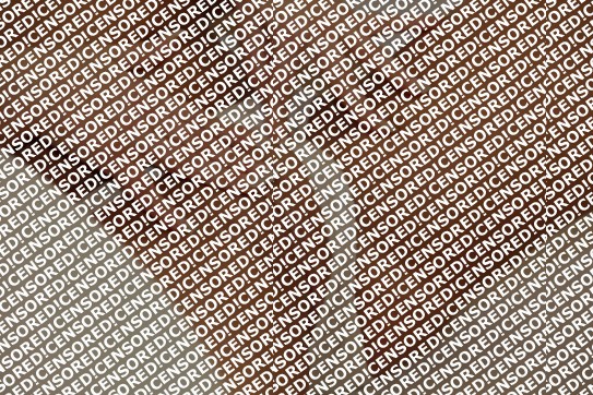 Venezuelan Jenny - Escort lady Edmonton 3