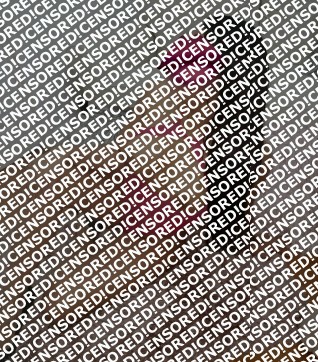 Dania - Escort lady Chicago 2