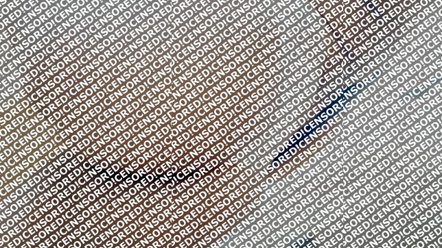 Mya - Escort lady San Jose CA 3