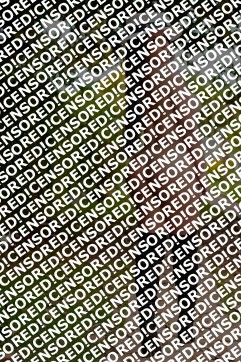 Paula Brazilian - Escort lady Dubai 10