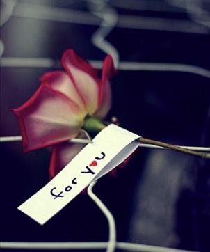 Amanda - Escort lady Miami FL 5