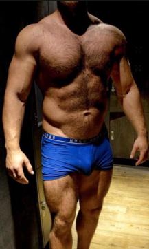 Jihanguir - Escort gay Berlin 2