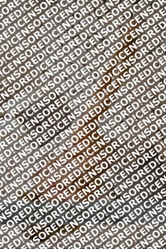 Lina - Escort lady Nuremberg 2