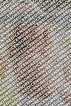 Fiona - Escort lady Nuremberg 2