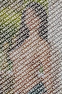 Sofia - Escort lady Palma de Mallorca 5