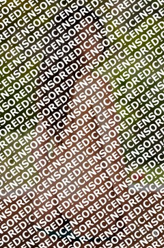 Sofia - Escort lady Palma de Mallorca 6