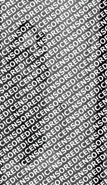 Jewel and Johnson - Escort couple Boston MA 4