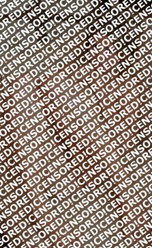 Amy - Escort lady Newcastle upon Tyne 3