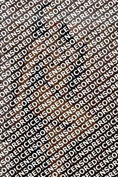 Samanta - Escort lady Ulm 5