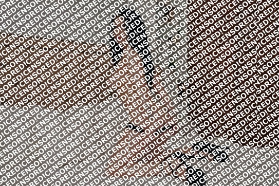 Leila - Escort lady Dortmund 2